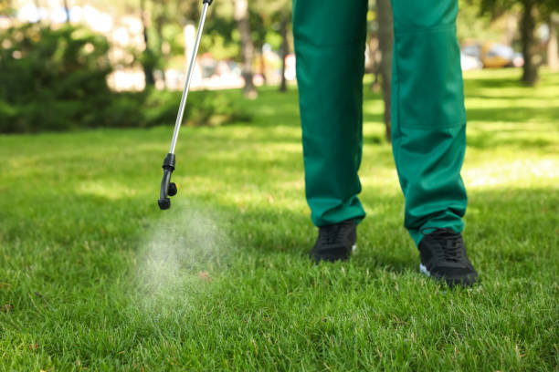 Best Mosquito Control Services  in USA